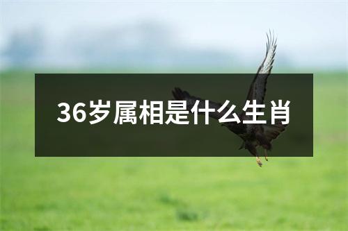 36岁属相是什么生肖