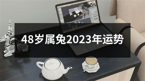 48岁属兔2023年运势