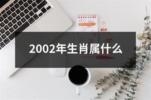 2002年生肖属什么