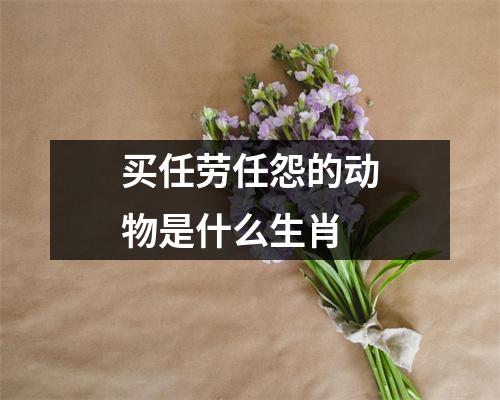 买任劳任怨的动物是什么生肖