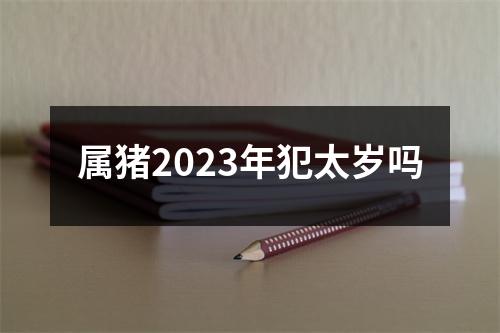 属猪2023年犯太岁吗