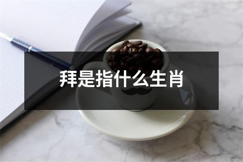 拜是指什么生肖