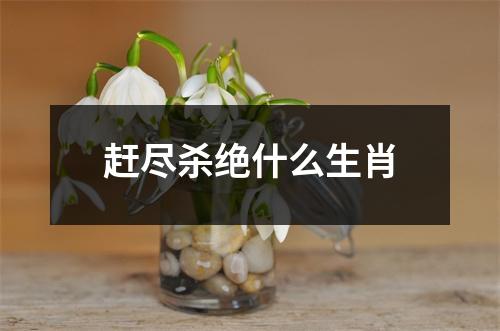 赶尽杀绝什么生肖