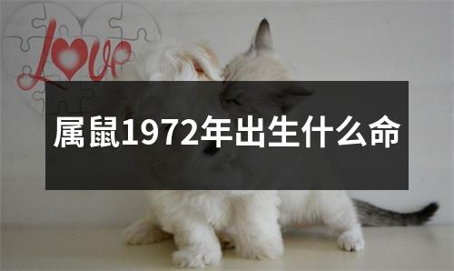 属鼠1972年出生什么命