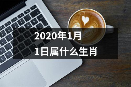 2020年1月1日属什么生肖