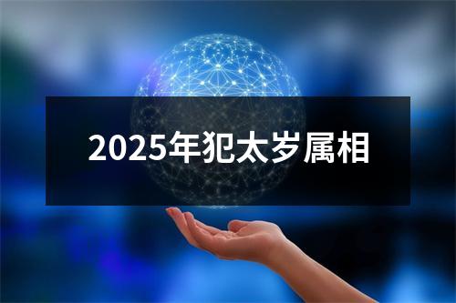 2025年犯太岁属相