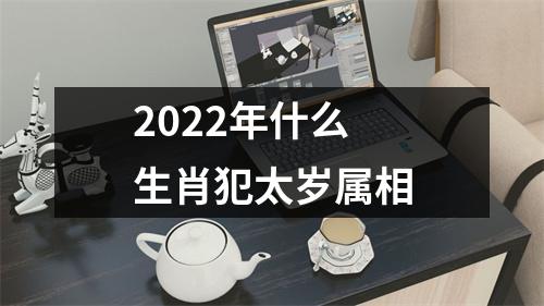 2022年什么生肖犯太岁属相