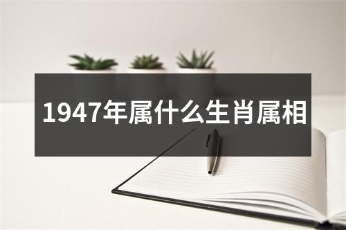 1947年属什么生肖属相