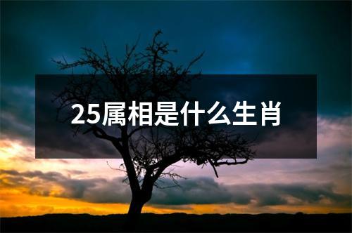 25属相是什么生肖