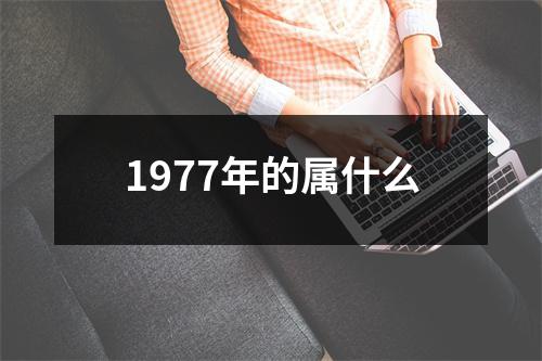 1977年的属什么