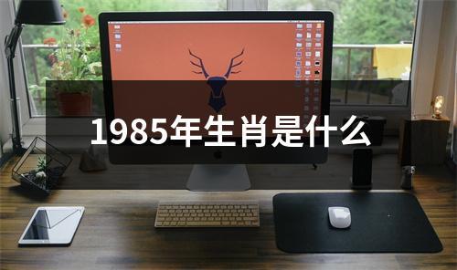 1985年生肖是什么