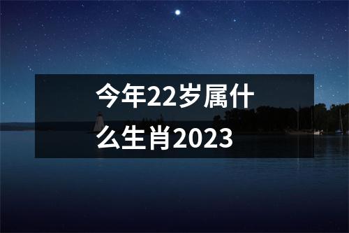 今年22岁属什么生肖2023