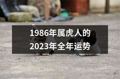 1986年属虎人的2023年全年运势