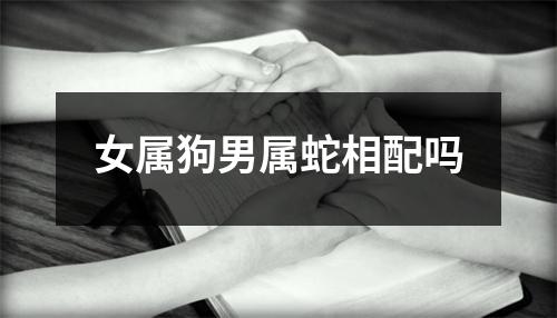 女属狗男属蛇相配吗