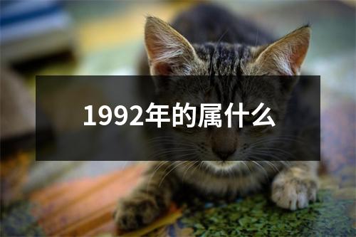 1992年的属什么