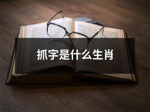 抓字是什么生肖