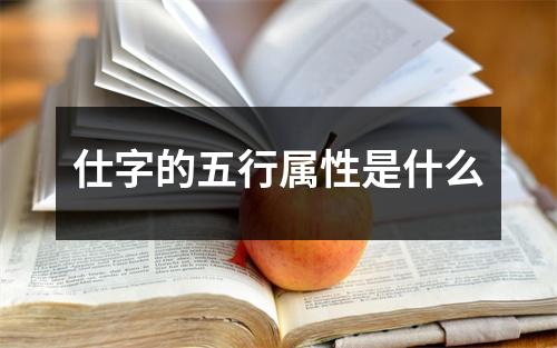 仕字的五行属性是什么