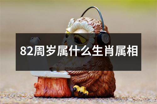 82周岁属什么生肖属相