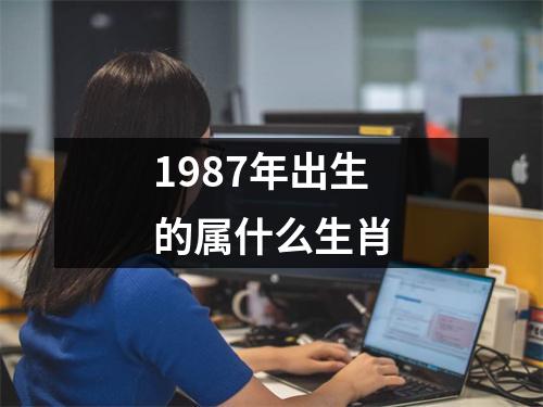 1987年出生的属什么生肖