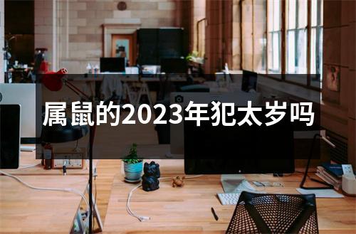 属鼠的2023年犯太岁吗