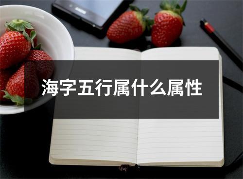 海字五行属什么属性