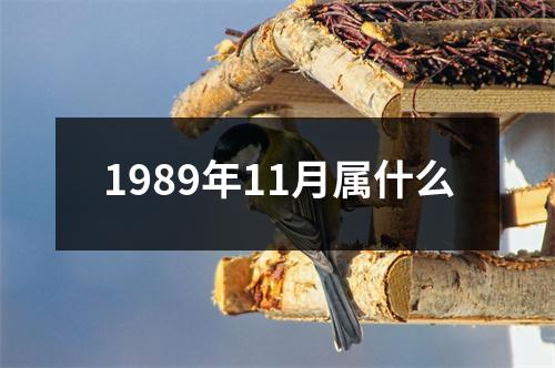 1989年11月属什么