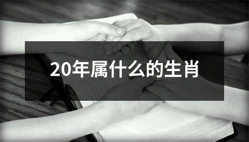 20年属什么的生肖