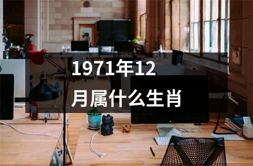 1971年12月属什么生肖