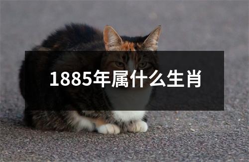 1885年属什么生肖