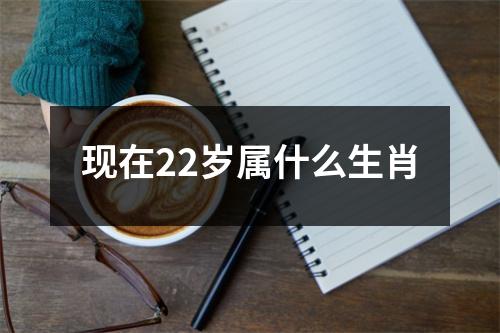 现在22岁属什么生肖