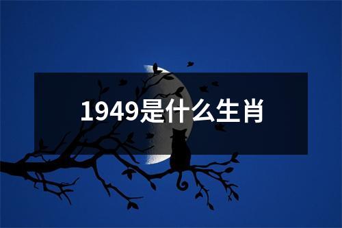 1949是什么生肖