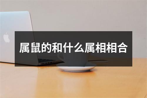 属鼠的和什么属相相合