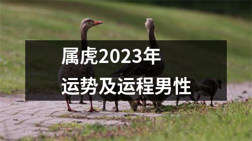 属虎2023年运势及运程男性