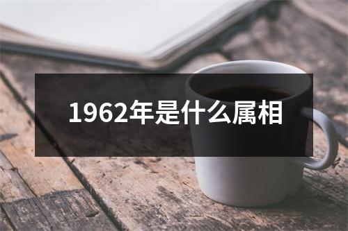 1962年是什么属相