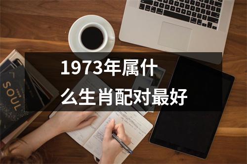 1973年属什么生肖配对最好