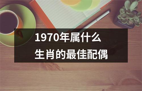 1970年属什么生肖的最佳配偶