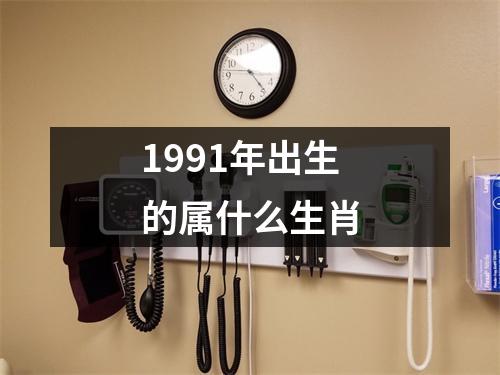 1991年出生的属什么生肖