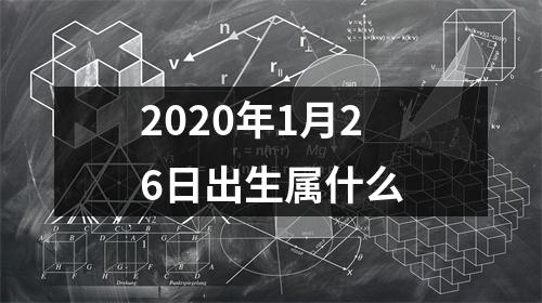 2020年1月26日出生属什么