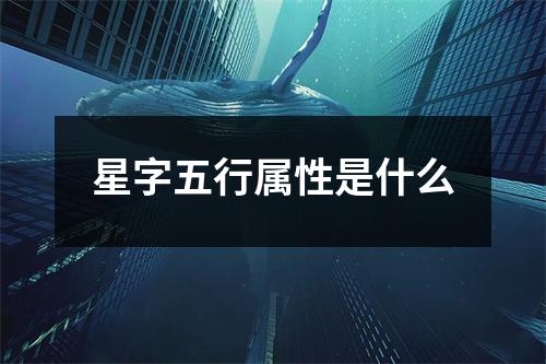 星字五行属性是什么