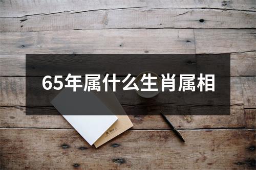 65年属什么生肖属相