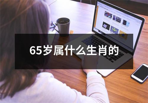 65岁属什么生肖的