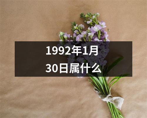 1992年1月30日属什么