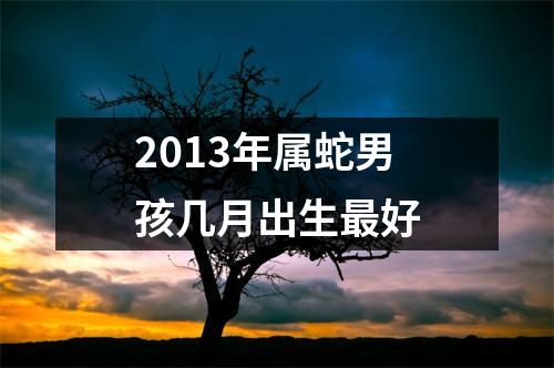 2013年属蛇男孩几月出生最好