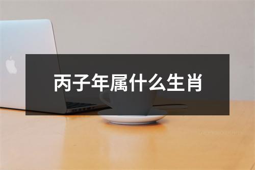 丙子年属什么生肖