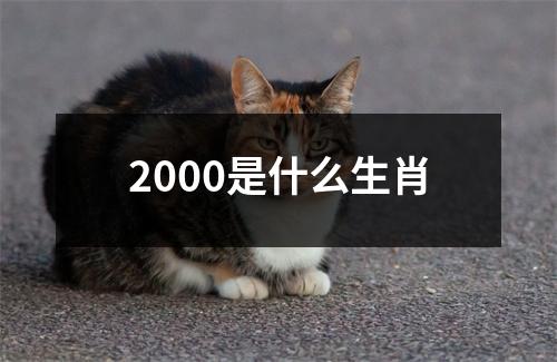 2000是什么生肖