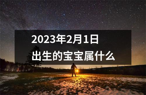 2023年2月1日出生的宝宝属什么