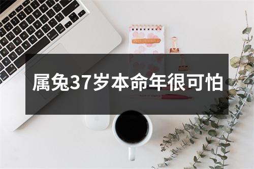 属兔37岁本命年很可怕