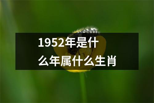 1952年是什么年属什么生肖