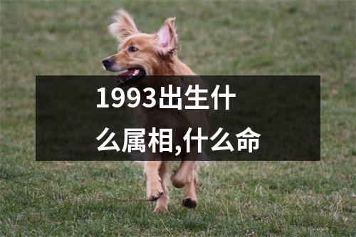 1993出生什么属相,什么命