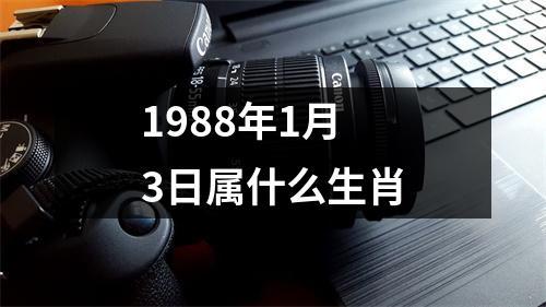 1988年1月3日属什么生肖